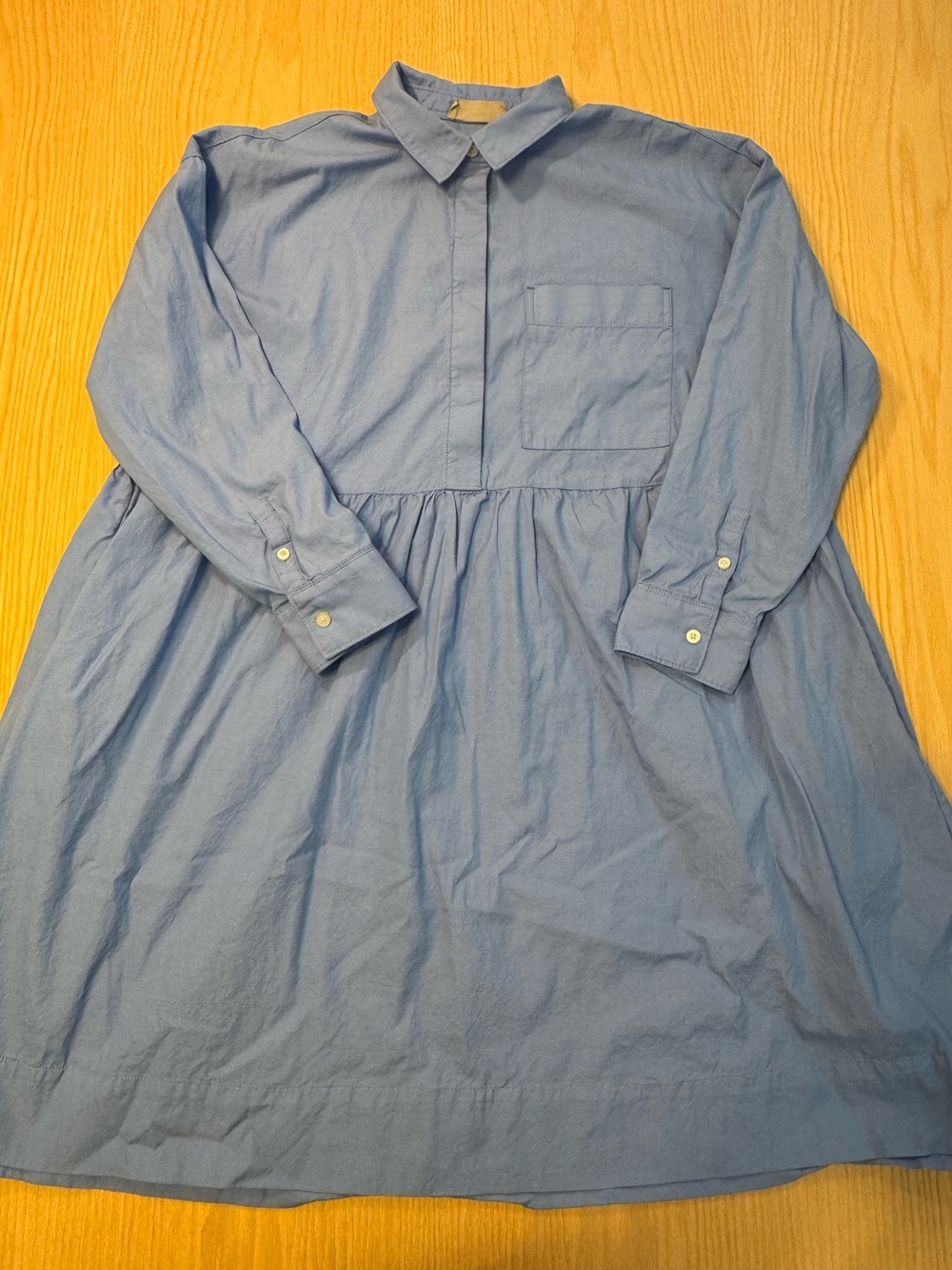 Everlane Light Blue Long-Sleeve Shirt Dress